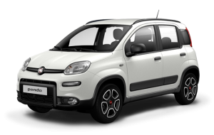 panda